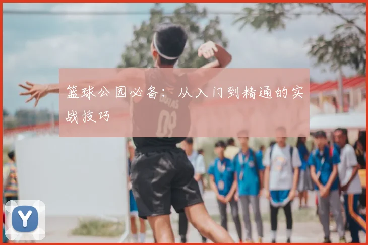 篮球公园必备:从入门到精通的实战技巧