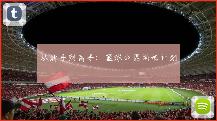 从新手到高手:篮球公园训练计划
