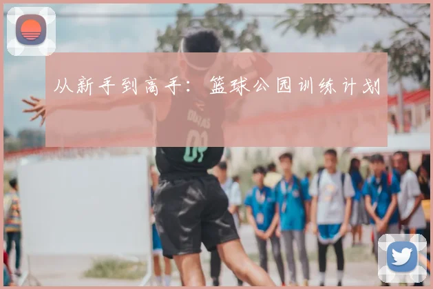 从新手到高手：篮球公园训练计划